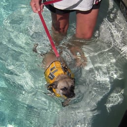 Captain Rockin Water Rehab with Trish!!!! Captain Rockin Water Rehab with Trish!!!!