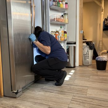 Cleaners Kingdom - Home Cleaning Near Me - Bellevue, Washington Cleaners Kingdom - Home Cleaning Near Me - Bellevue, Washington