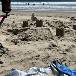 Sand castle fun with my new seagull buddy Sand castle fun with my new seagull buddy