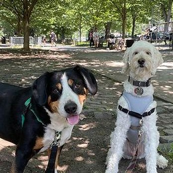 Wags West - Dog Walkers Near Me - New York, New York Wags West - Dog Walkers Near Me - New York, New York