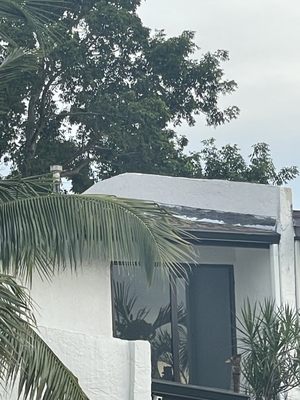 Springer Roofing