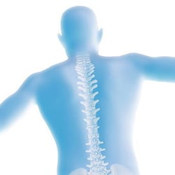 Florida Spine & Joint Institute