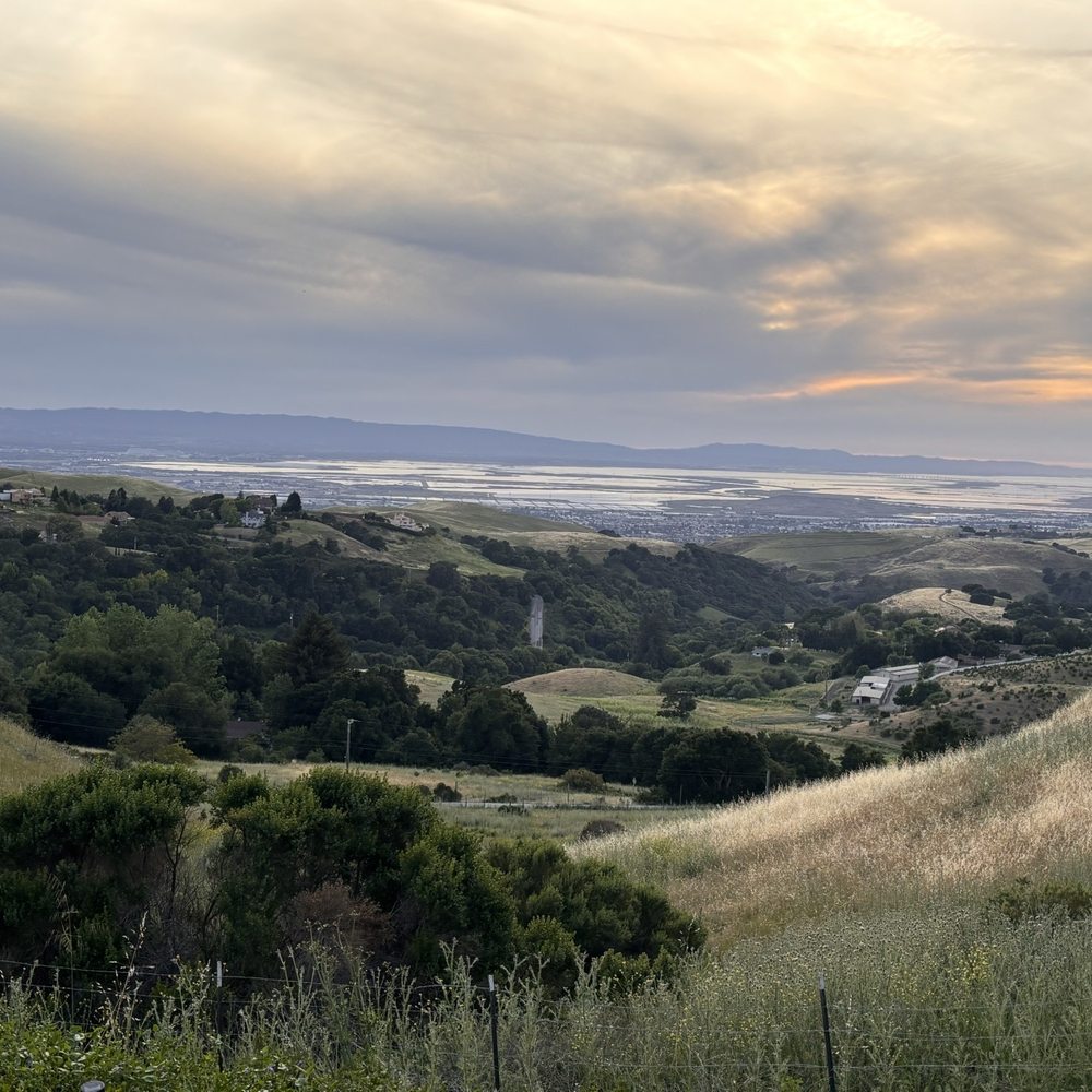 Big Dog Vineyards - View from the top - Venues & Event Spaces Near Me - Milpitas, California Big Dog Vineyards - View from the top - Venues & Event Spaces Near Me - Milpitas, California