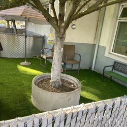 Economy  Grass Systems - Beautiful result!