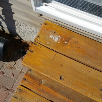 Wallside Windows - Outside the door and there is more on The ground - Windows Installation Near Me - Taylor, Michigan