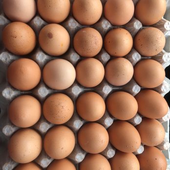 Billy's Egg Farm - Extra large cage free eggs - Specialty Food Near Me - Chino, California Billy's Egg Farm - Extra large cage free eggs - Specialty Food Near Me - Chino, California