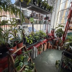 Plants!