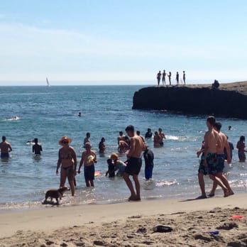 Sunny Cove Beach - Swimming and jumping off the cliff. - Beaches Near Me - Santa Cruz, California Sunny Cove Beach - Swimming and jumping off the cliff. - Beaches Near Me - Santa Cruz, California