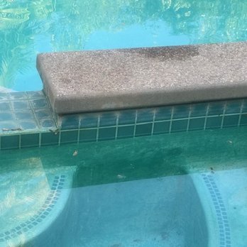 Elite Pool Tile Cleaning - 28 year old pool, Before PIc - Pool Cleaners Near Me - Sloughhouse, California Elite Pool Tile Cleaning - 28 year old pool, Before PIc - Pool Cleaners Near Me - Sloughhouse, California