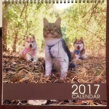 Vietnam Printing - Our 2017 Calendar! - Printing Services Near Me - San Jose, California Vietnam Printing - Our 2017 Calendar! - Printing Services Near Me - San Jose, California