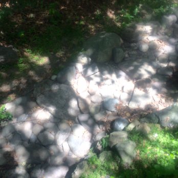 Arnold Arboretum - Parks Near Me - Boston, Massachusetts Arnold Arboretum - Parks Near Me - Boston, Massachusetts