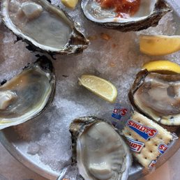 Raw Oysters