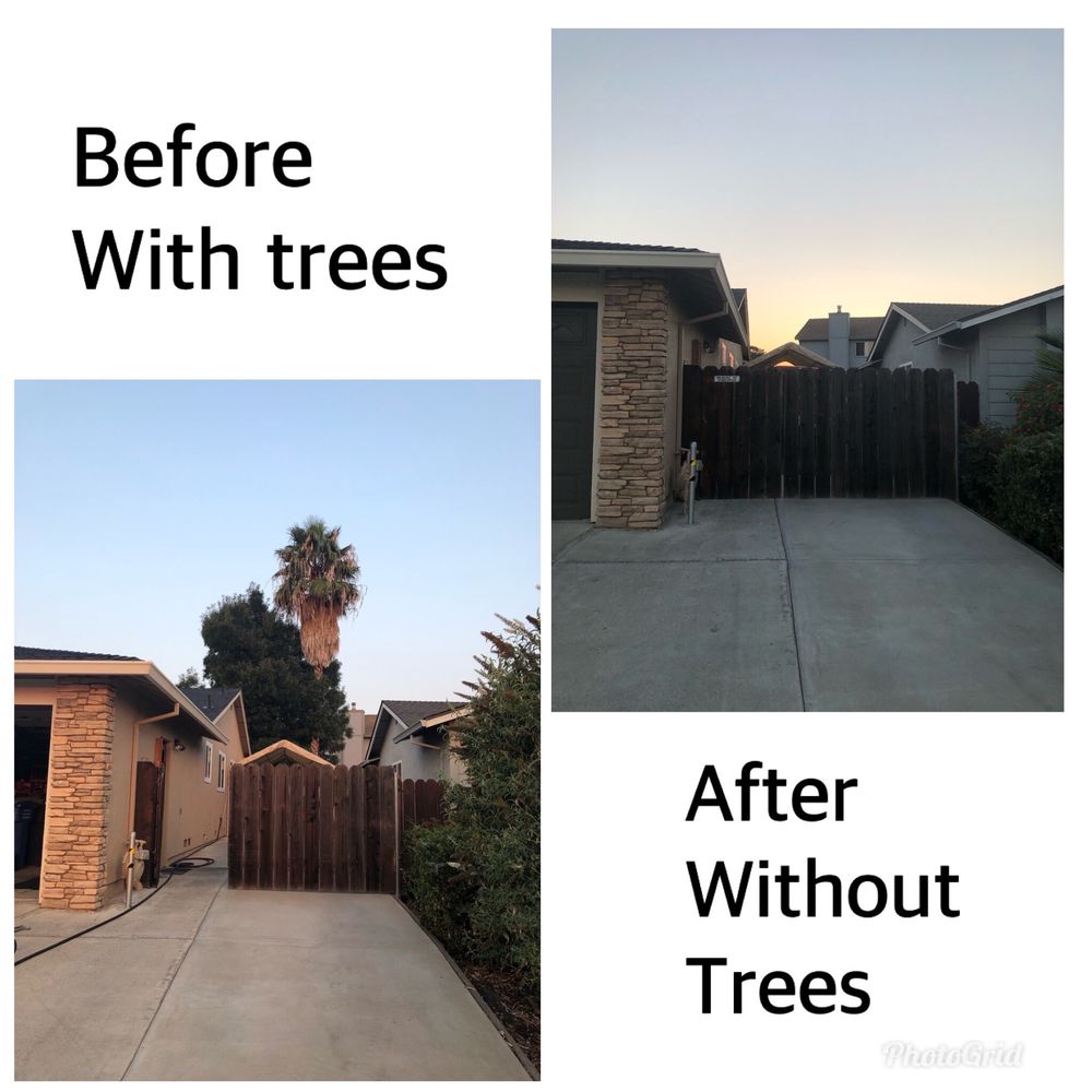 Duran's Tree service - Tree Services Near Me