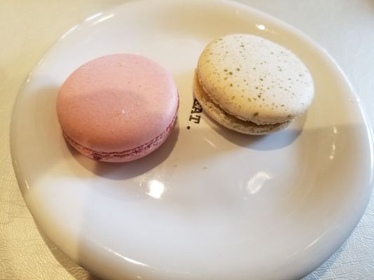 TeaPotBrew Bakery by null