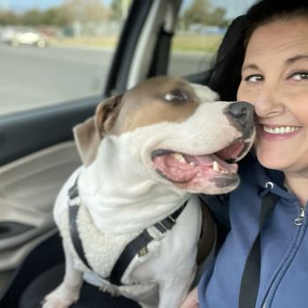 Cimarron Animal Hospital - The most amazing love of a woman and her boy. - Veterinarians Near Me - Tucson, Arizona Cimarron Animal Hospital - The most amazing love of a woman and her boy. - Veterinarians Near Me - Tucson, Arizona