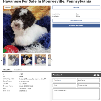 Petland Pittsburgh Monroeville - Pet Stores Near Me - Monroeville, Pennsylvania Petland Pittsburgh Monroeville - Pet Stores Near Me - Monroeville, Pennsylvania