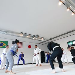 New Level Brazilian Jiu-Jitsu
