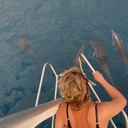 Hawaii Sail Charters