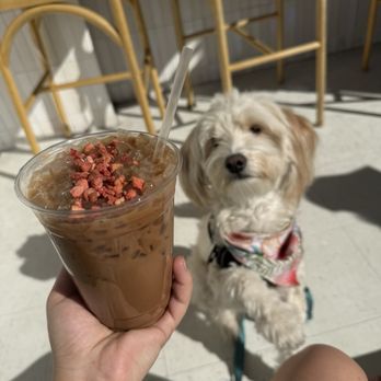 Lovesong Coffee - Coffee & Tea Near Me - San Diego, California Lovesong Coffee - Coffee & Tea Near Me - San Diego, California
