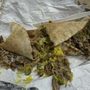 Photo of Mr. Kabob Xpress Grille & Catering Southfield