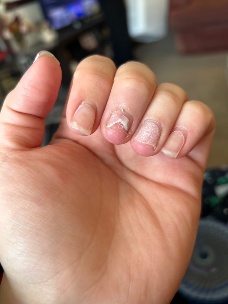 MIDDLETOWN CHOCOLATE SPA & NAILS 16 Photos & 17 Reviews 505 Schutt