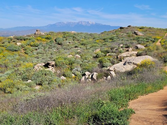 Sycamore Canyon Wilderness Park by null