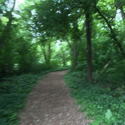 Sleepy Hollow Park