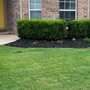 Photo of MowJo Lawn Care
