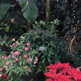 Lincoln Park Conservatory - Lincoln Park Conservatory - Parks Near Me - Chicago, Illinois Lincoln Park Conservatory - Lincoln Park Conservatory - Parks Near Me - Chicago, Illinois