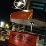 Mission Dogs