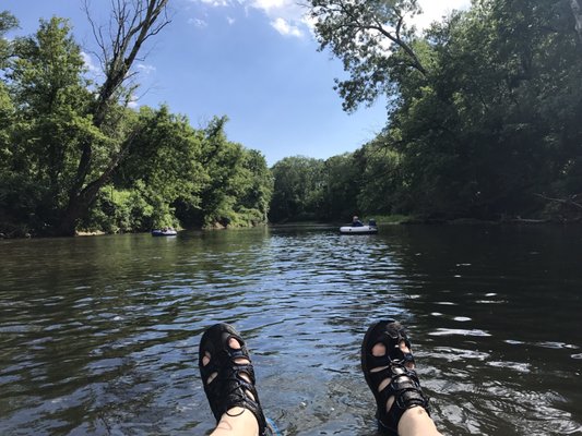 Brandywine Creek State Park by null