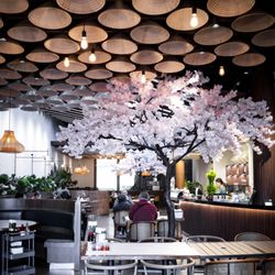 Pho Day - Nice decor