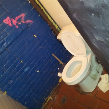 Coyote Ugly - Dive Bars Near Me - New York, New York