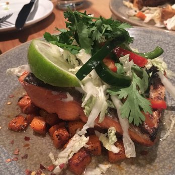 The Cookery - Salmon special - Seafood Near Me - Seward, Alaska The Cookery - Salmon special - Seafood Near Me - Seward, Alaska