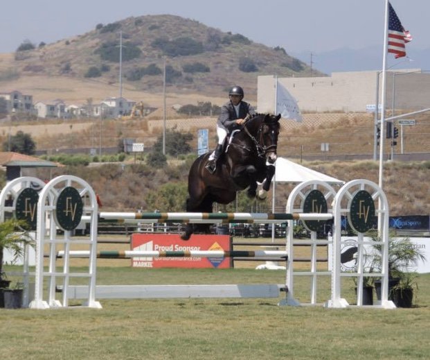 Elite Equestrian Training Stables Logo