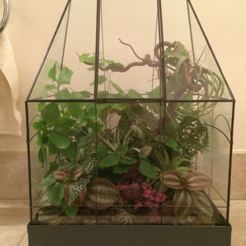 Plant Party - Florists Near Me - Austin, Texas