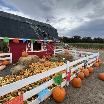 Sweet Eats Adventure Farm - Attraction Farms Near Me - Georgetown, Texas