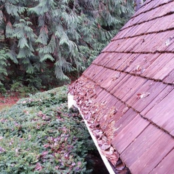 Cliff's Window Cleaning - Accumulated debris has blocked water from draining properly. Mold and mildew create breeding ground for rotting wood. - Window Washing Near Me Cliff's Window Cleaning - Accumulated debris has blocked water from draining properly. Mold and mildew create breeding ground for rotting wood. - Window Washing Near Me