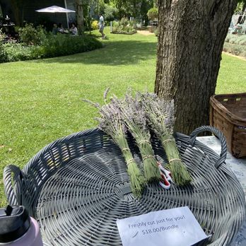 Blooming Hill Lavender Farm - a basket of lavender - Gift Shops Near Me - Purcellville, Virginia