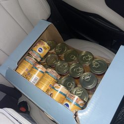 Dollar Tree