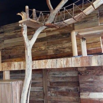 Miao Cat Cafe - Cafes Near Me - Quezon City, NCR Miao Cat Cafe - Cafes Near Me - Quezon City, NCR