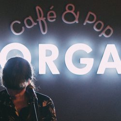 Torgal