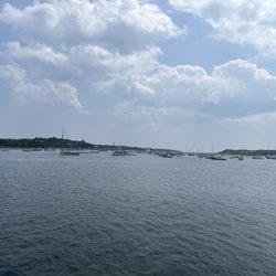 Martha’s Vineyard Tours and Transport - 7/21/25