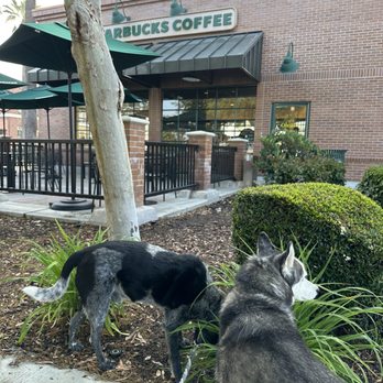 Starbucks - Side view of Starbucks - Coffee & Tea Near Me - San Dimas, California