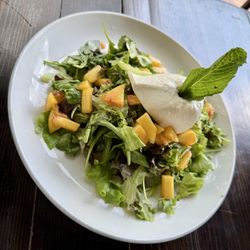 Burrata salad