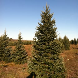 Hartikka Tree Farms
