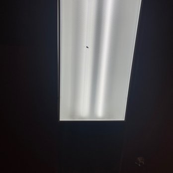Enzos Pizza - 3 of the lights above the dining section we are sitting in have cockroaches. I'm about to barf!!!! - Pizza Near Me - Riverside, California