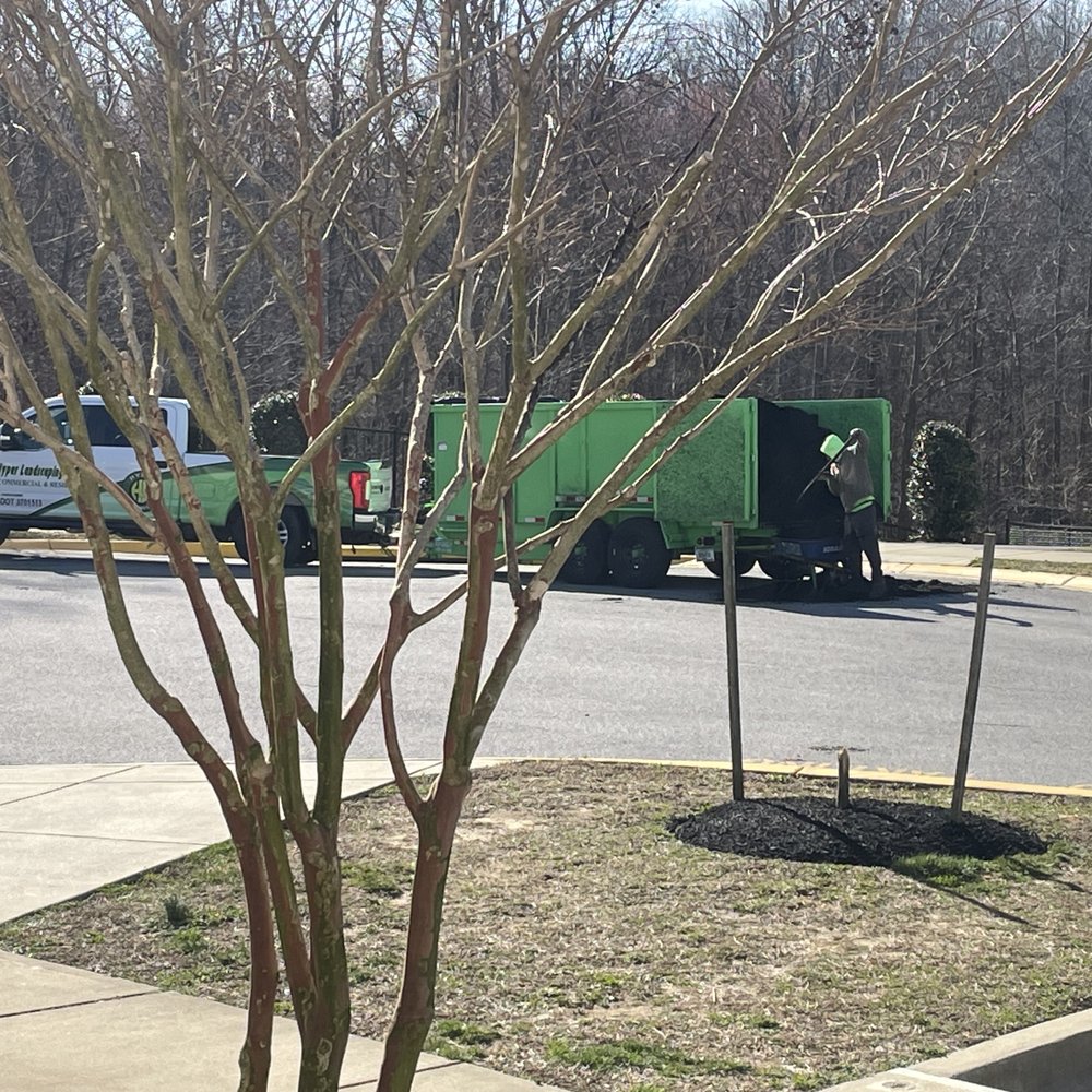 Hyper Landscaping and Design - a garbage truck parked on the side of the road - Landscaping Near Me Hyper Landscaping and Design - a garbage truck parked on the side of the road - Landscaping Near Me