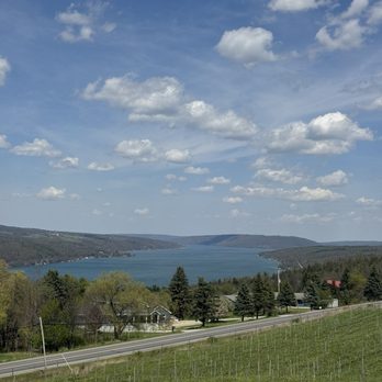 Living Roots Finger Lakes - Wine Tasting Room Near Me - Hammondsport, New York
