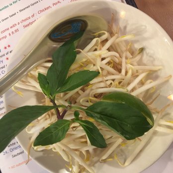 Pho Basil - The bean sprout n basil side for the pho - Vietnamese Near Me - Boston, Massachusetts Pho Basil - The bean sprout n basil side for the pho - Vietnamese Near Me - Boston, Massachusetts